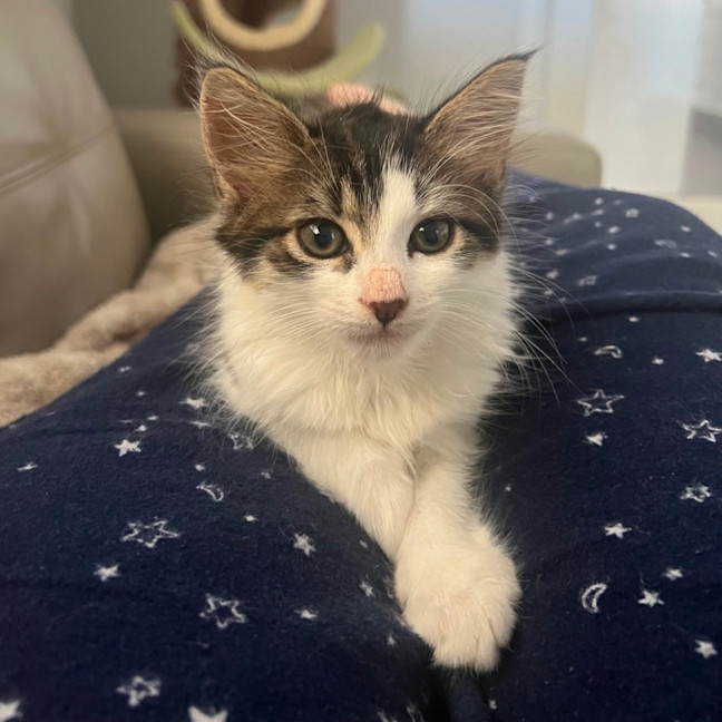 Photo of Audrey 💕