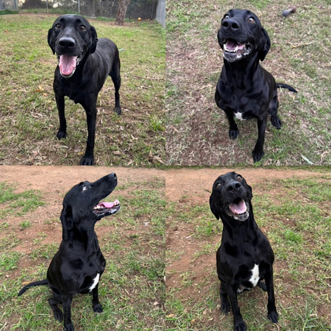 Photo of Bonnie