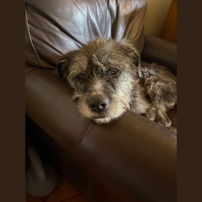 Photo of Douglas