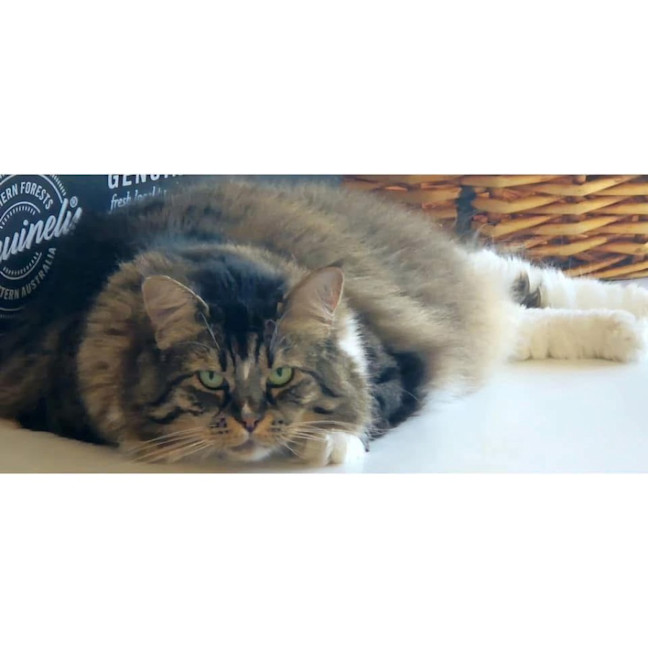 Photo of 4764   Cassie