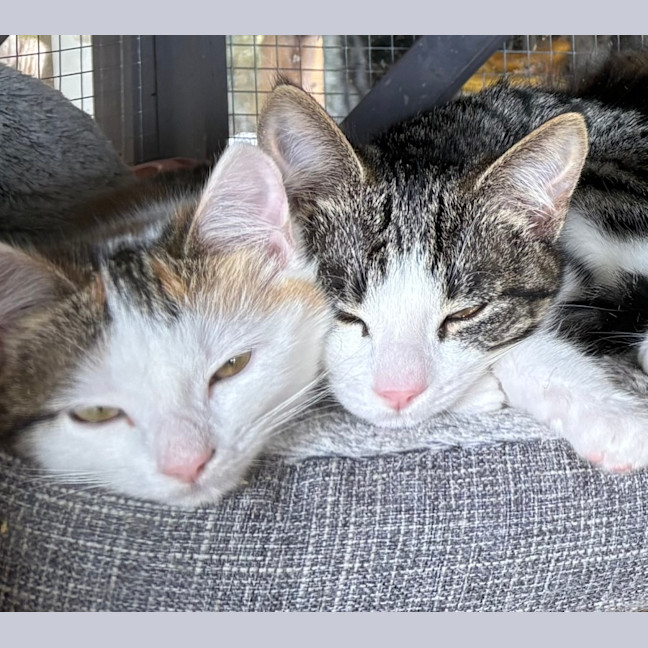 Photo of Max (And Eleanor)