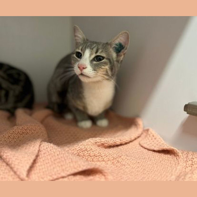 Photo of Winifred