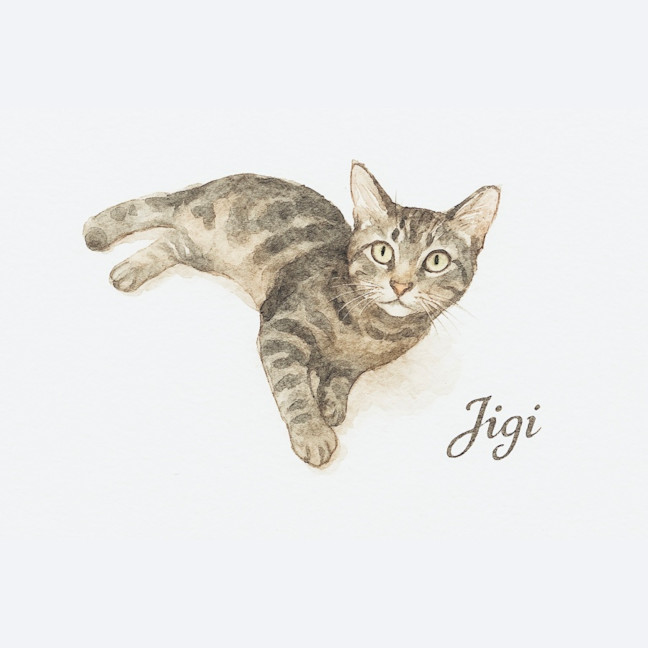 Photo of Gigi