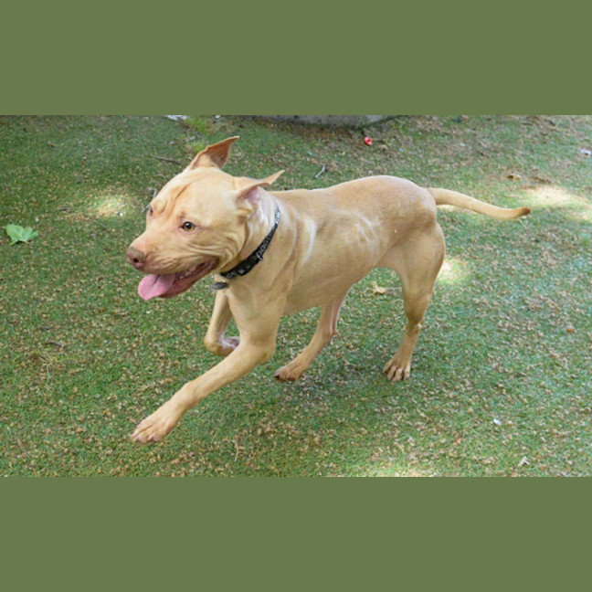 Photo of Xena