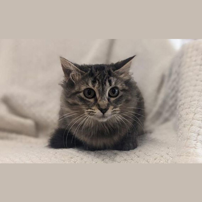 Photo of Cathay