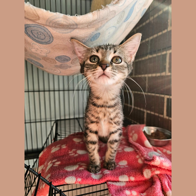 Photo of Zoe