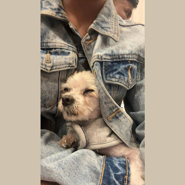 Photo of Fran Drescher