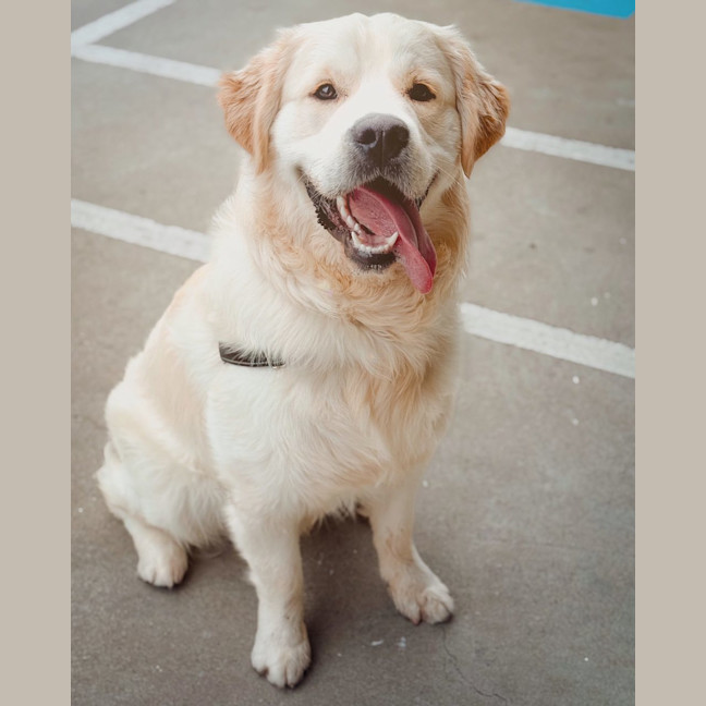 Photo of Walter (Was Cookie)