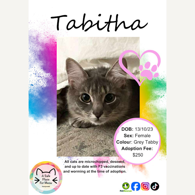 Photo of Tabitha