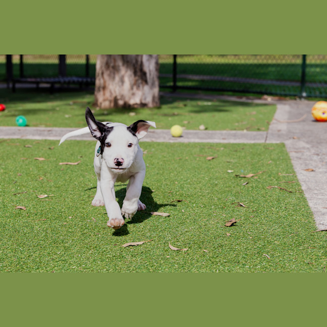 Photo of Abacus Crunch