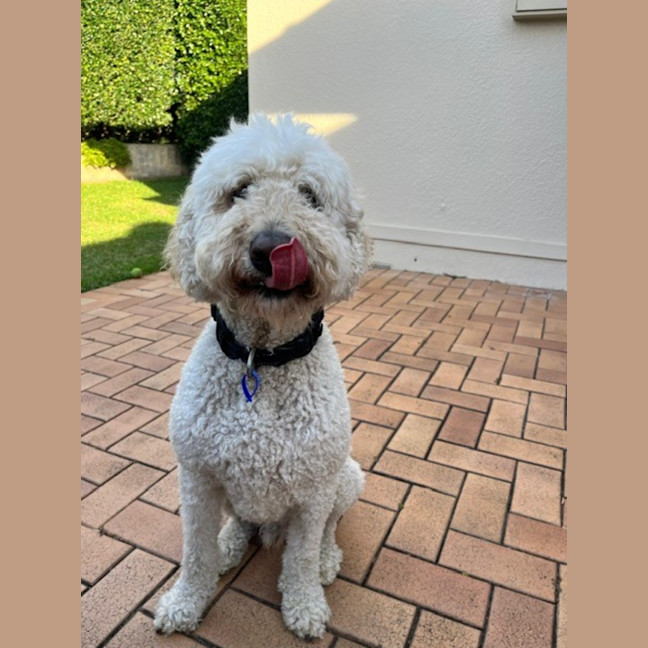 Photo of George And Bobby