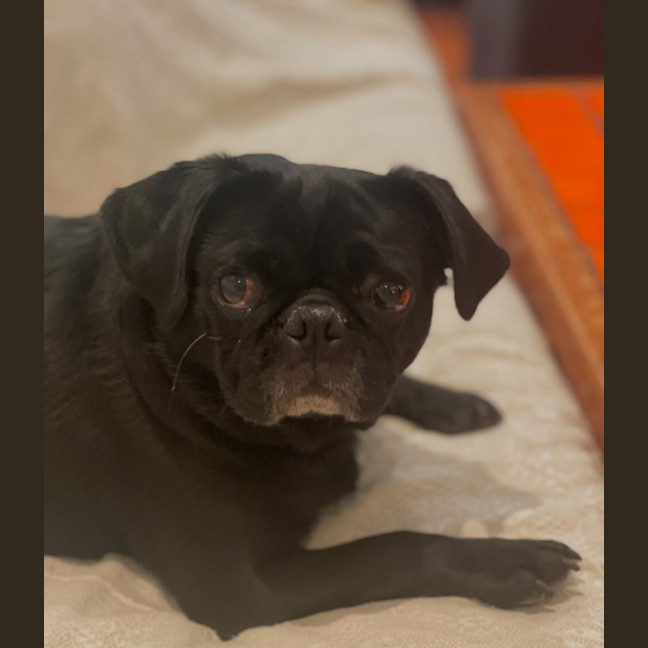 Photo of Audrey 🌱