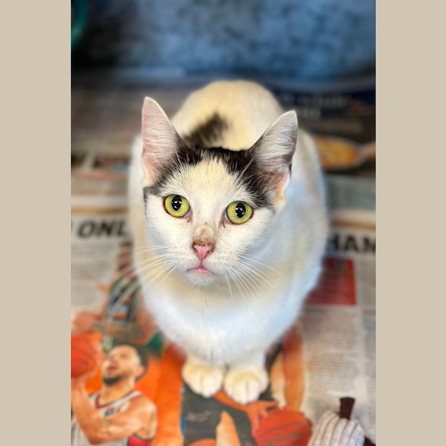 Photo of Tabitha