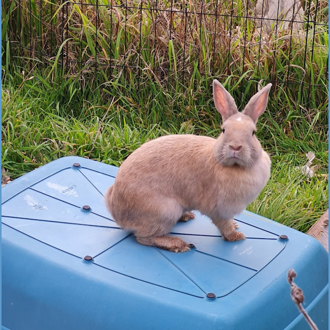 Photo of Spice Unity