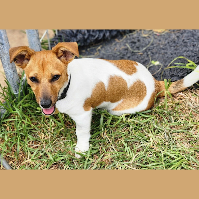 Photo of Ollie Smith