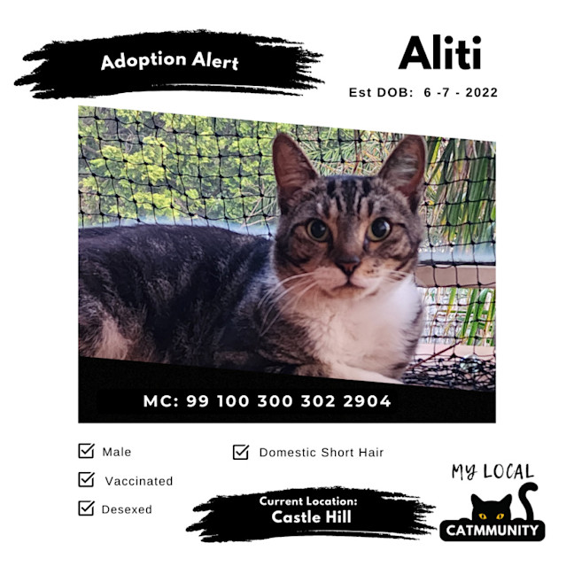 Photo of Aliti