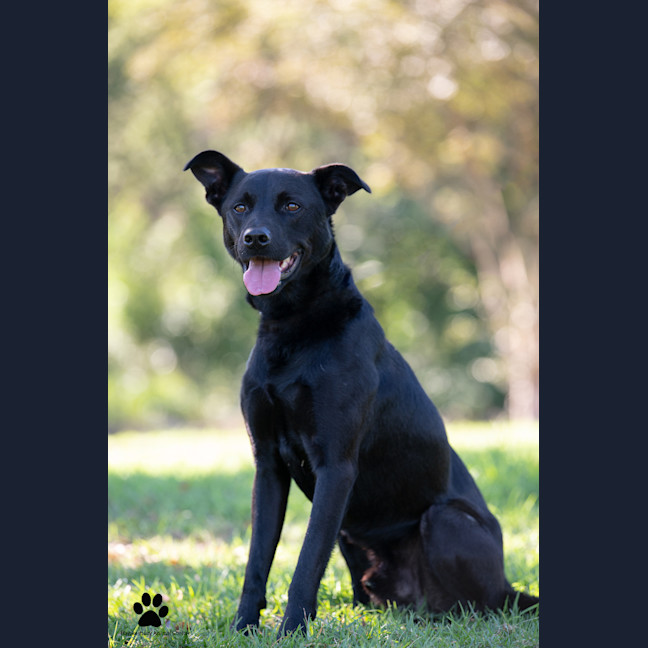Photo of Zeus