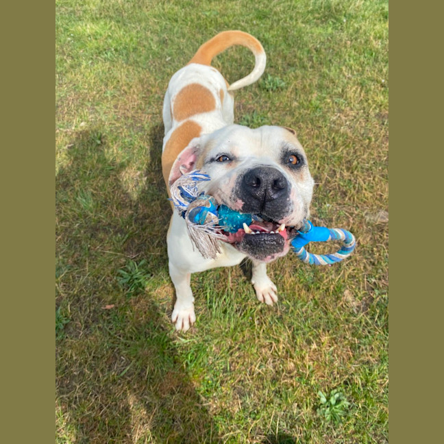 Photo of Buddy