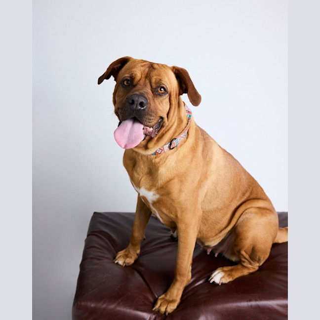 Photo of Zuri