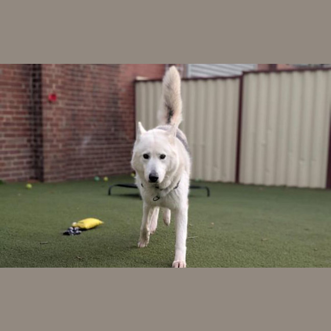 Photo of Storm