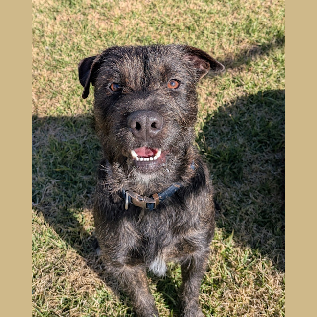 Photo of Roscoe