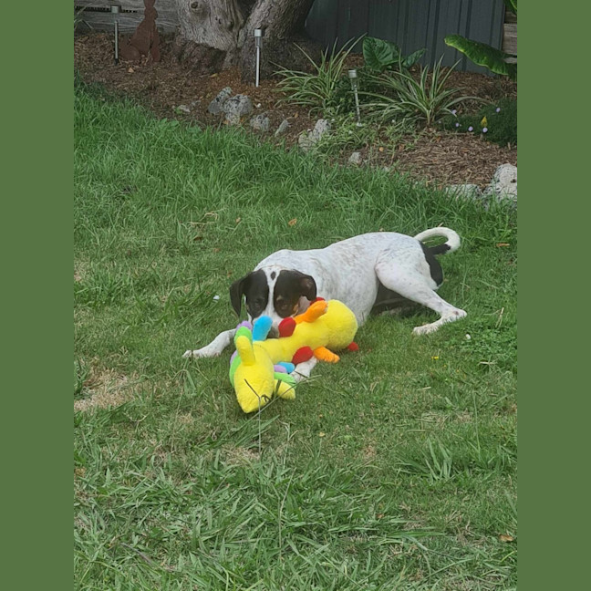 Photo of Missy