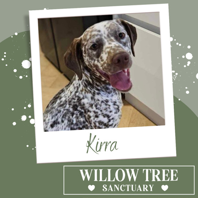 Photo of Kirra
