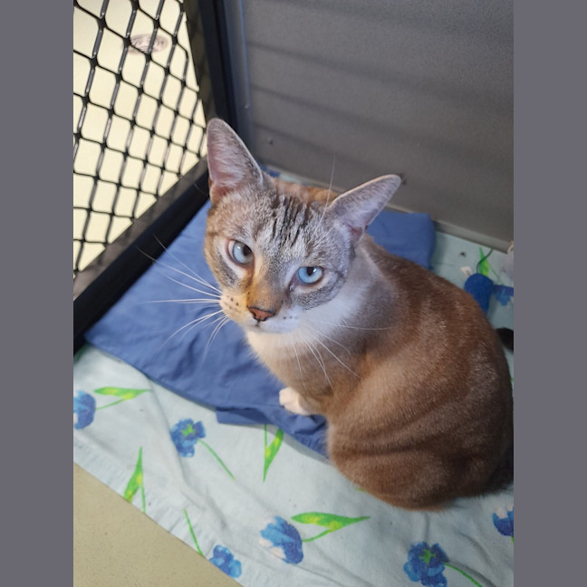 Photo of The Vivienne