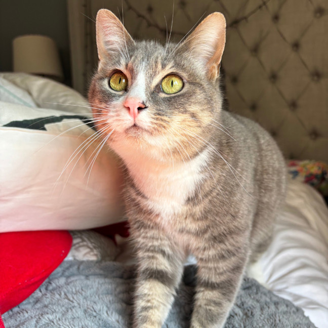 Photo of Millie