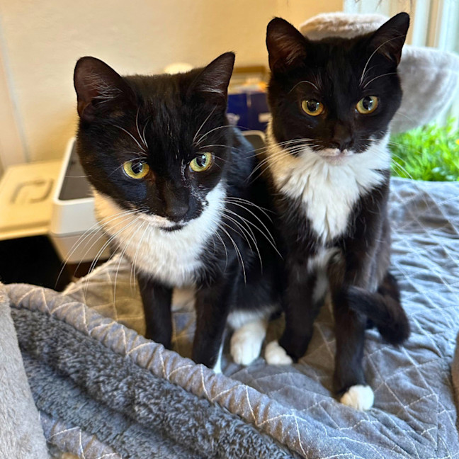 Photo of Peppa & Tabitha