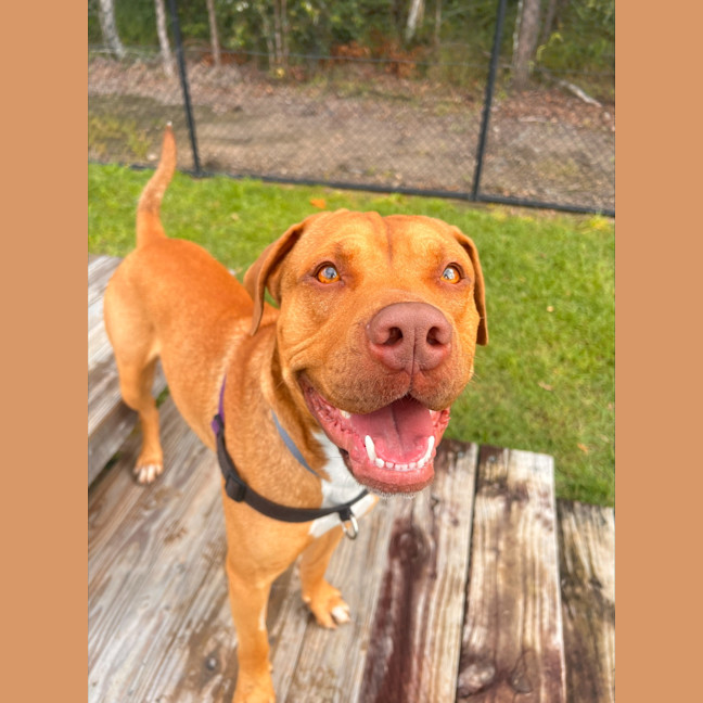 Photo of Ace