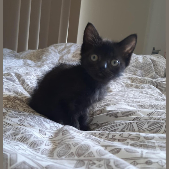 Photo of Rowena