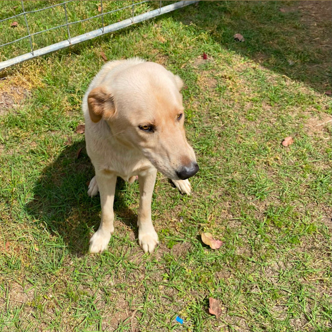 Photo of Buddy