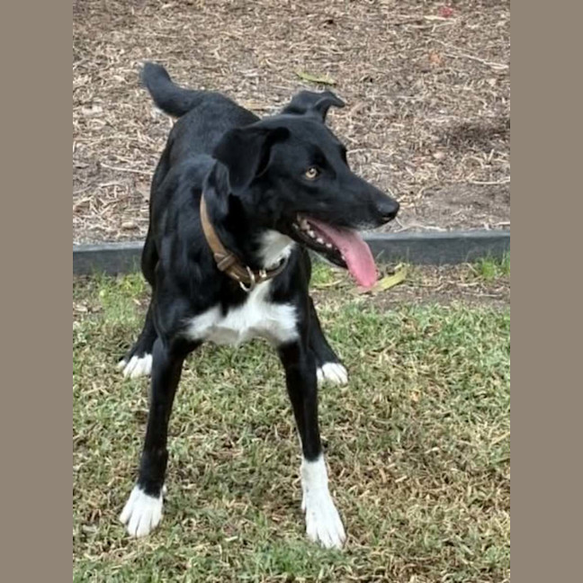 Photo of Remi