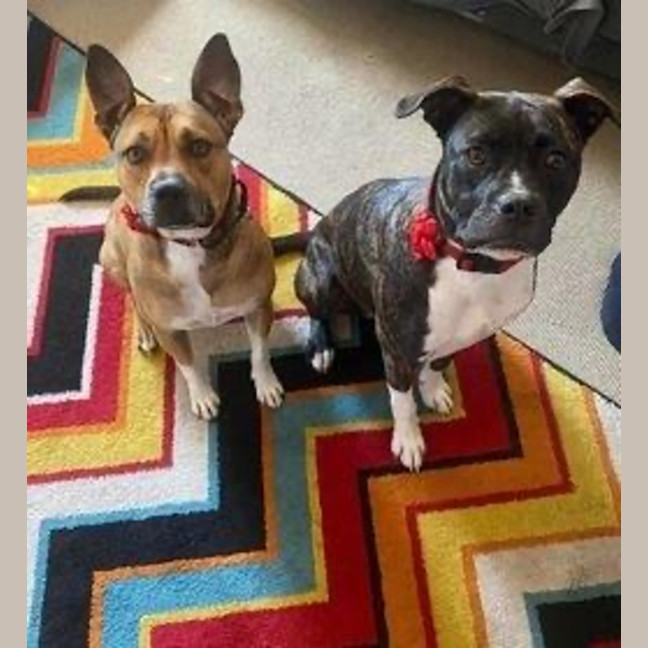 Photo of Daisy Haliwell