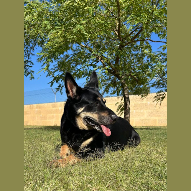 Photo of Roxy