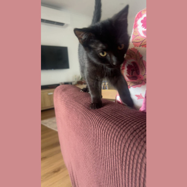 Photo of Jasmine