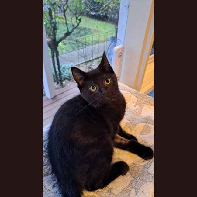Photo of George