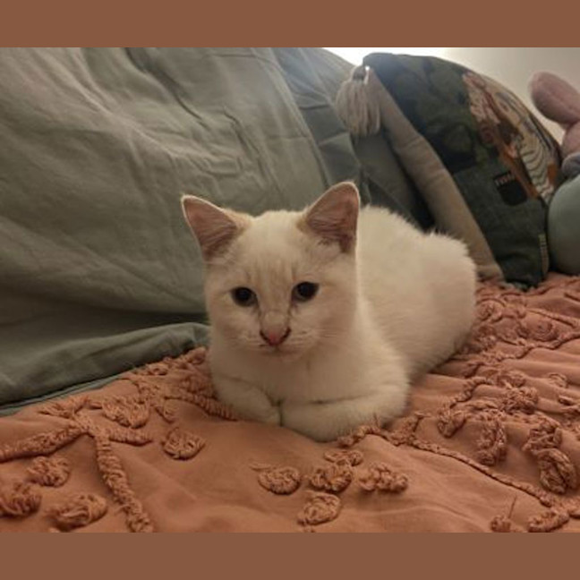 Photo of Doofus