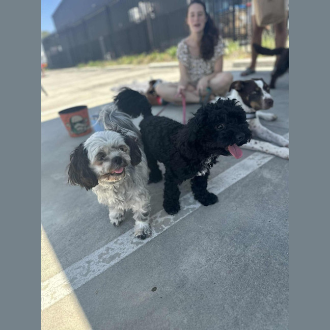 Photo of Layla And Franco