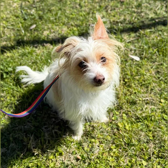 Photo of Bert (9003)