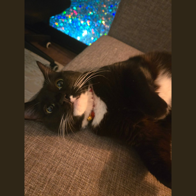 Photo of Sadie
