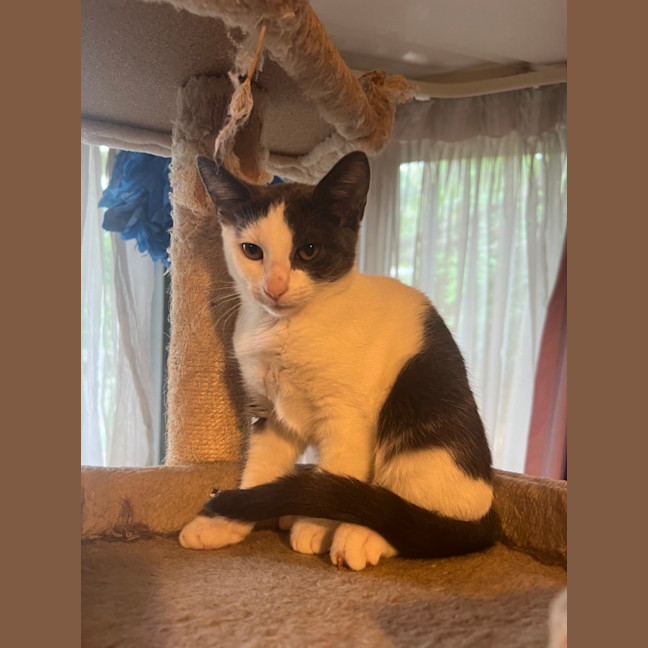 Photo of Xena