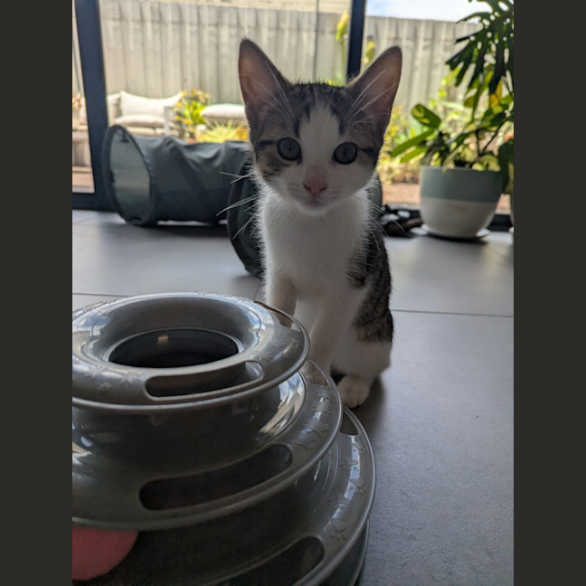 Photo of Sofia Scotty