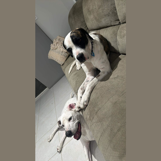 Photo of Winston