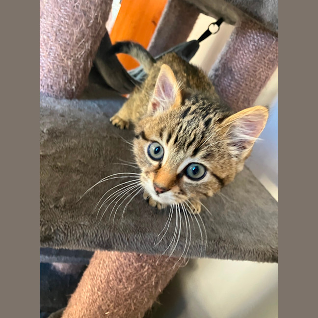 Photo of Chloe