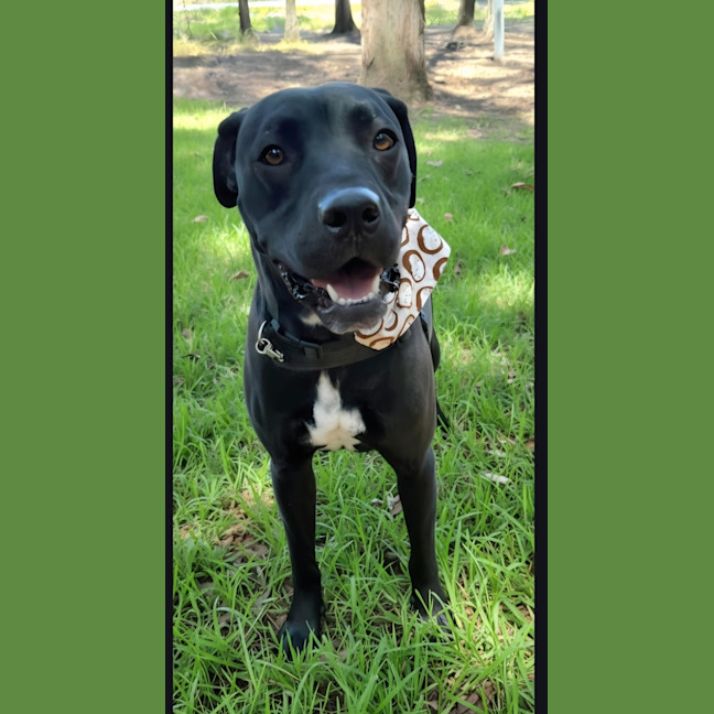 Photo of Daisy