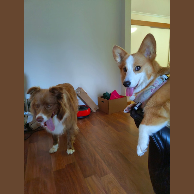 Photo of Mars Bar Slice