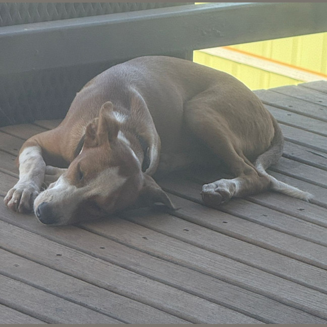 Photo of Marmie