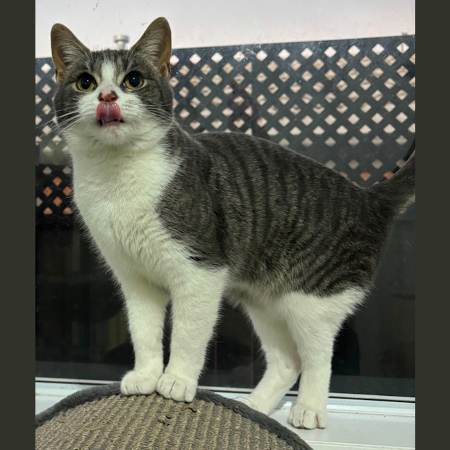 Photo of Sylvie 🌷